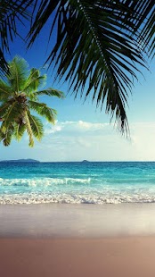Beach Live Wallpaper APK for Blackberry  Download Android APK GAMES 