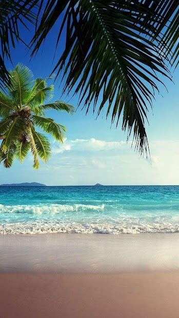 Pantai Latar Belakang - Apl di Google Play