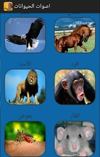 How to mod animals sounds offline lastet apk for android