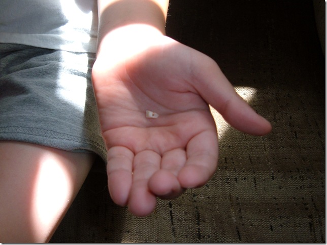 may-july2008 004