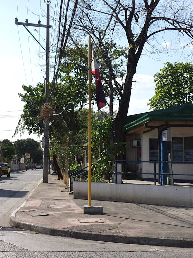 Lilac HQ Flag Pole