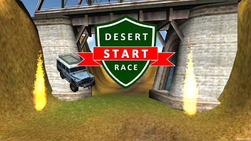 Desert Race