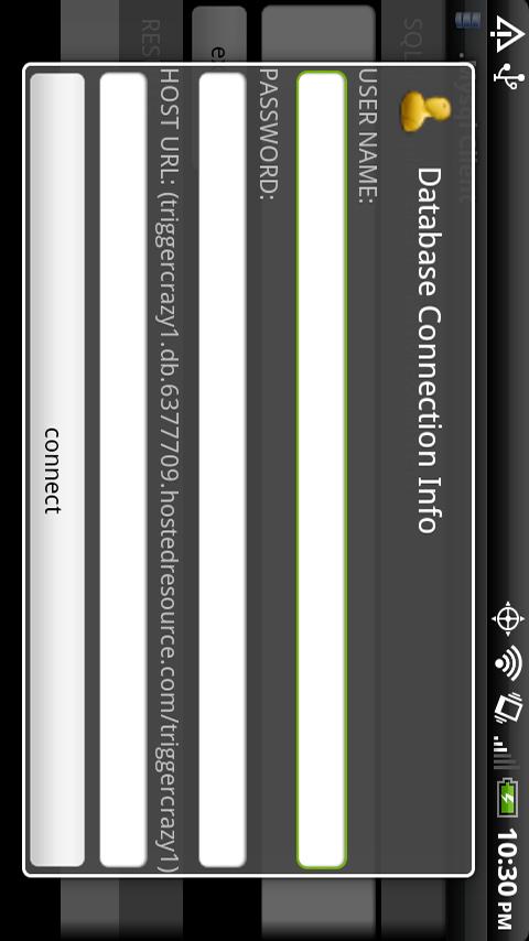 MySQL Database Client Screen 2
