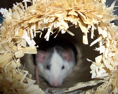 Trudy in soft focus