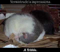 Vermintribble