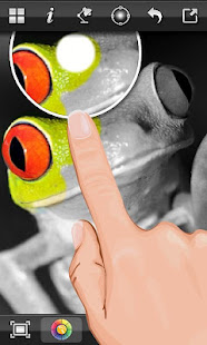 Color Splash FX(圖3)-速報App