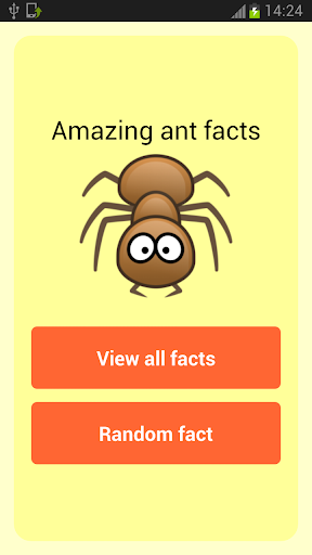 Amazing Ant Facts