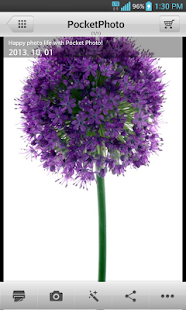 download LG Pocket Photo free