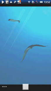 Manta Live Wallpaper Trial(圖3)-速報App