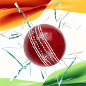 PLAY I.P.L Fantasy Cricket icon