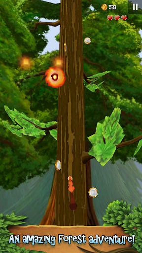 Nuts!: Infinite Forest Run (Mod Coins) 