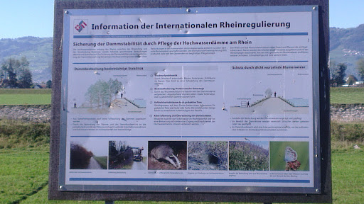 Informationen Der Internationalen Rheinregulierung 