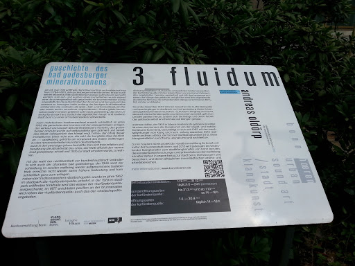 3 Fluidum