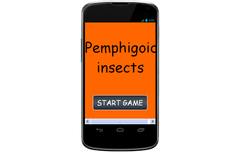 Pemphigoid insects