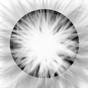 Flash Camera icon
