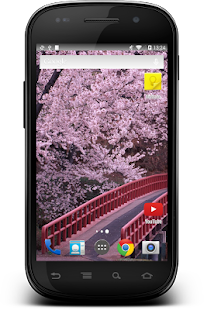 Free Download Sakura Wallpaper 4K APK for Android