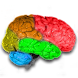 IQ Tests