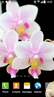 Flower Live Wallpaper(圖7)-速報App