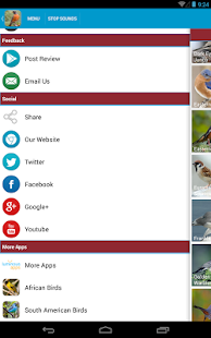 North American Birds Sounds Screenshots 15