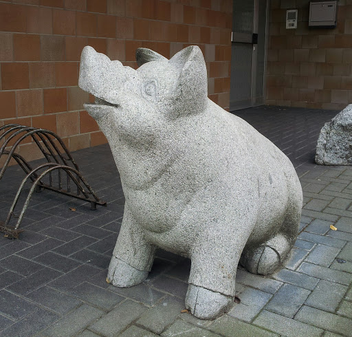 Stone Pig - Lingenfeld
