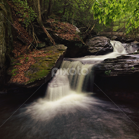 Aaron's Cascade spring 2014 by Aaron Campbell - Instagram & Mobile iPhone