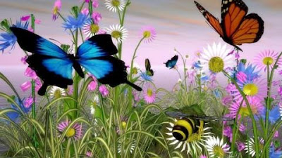 Get Live Butterfly Images Hd 3D Download Images