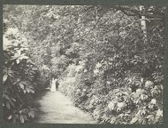 Vrouw in een tuinpad bij bloemdragende struiken op landgoed Pauw