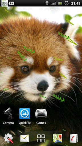 免費下載個人化APP|Red Panda Live Wallpaper app開箱文|APP開箱王