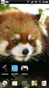How to install Red Panda Live Wallpaper lastet apk for bluestacks