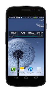 StepOn-Pro Podómetro Screen 2