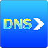 DNS forwarder 1.5.1