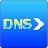 DNS forwarder1.5