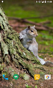 How to mod Squirrel Live Wallpaper patch 2.0 apk for bluestacks
