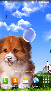 Puppy Wallpaper(圖3)-速報App