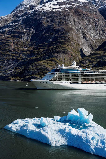 Celebrity_Solstice_Tracy_Arm_Fjord_2 - Cruise through impressive floating ice as Celebrity Solstice travels down Alaska's Tracy Arm Fjord.