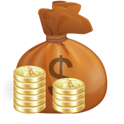 Budgetroid logo