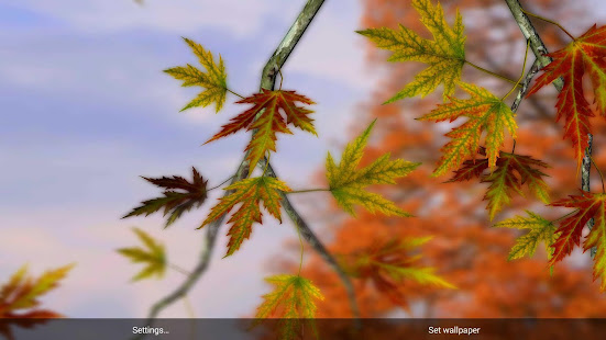 Autumn Leaves in HD Gyro 3D Parallax Wallpaper(圖6)-速報App