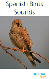 Spanish Birds Sounds Free(圖1)-速報App