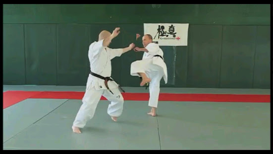 Kyokushin - FREE(圖5)-速報App