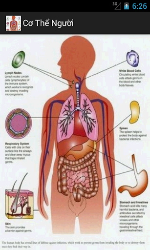 Cơ Thể Người Sưu Tập