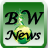 Bliss World News logo