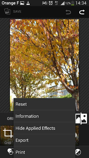 【免費攝影App】Nexus Photos: Gallery KitKat-APP點子