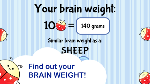 Brain Trainer with Ladybug