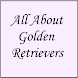 All About Golden Retrievers