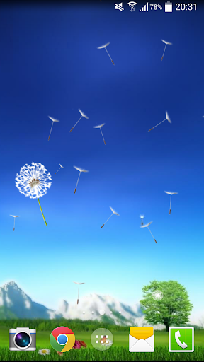 Dandelion Live Wallpaper