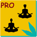 Partner Yoga PRO logo