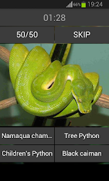 Guess the reptile poster 2