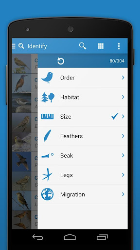 【免費書籍App】iKnow Birds 2 LITE - Europe-APP點子