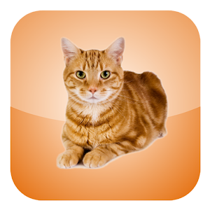 Cat Screen Cleaner 1.0 Icon
