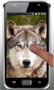 Wolf Angry Free live wallpaper Screenshots 4